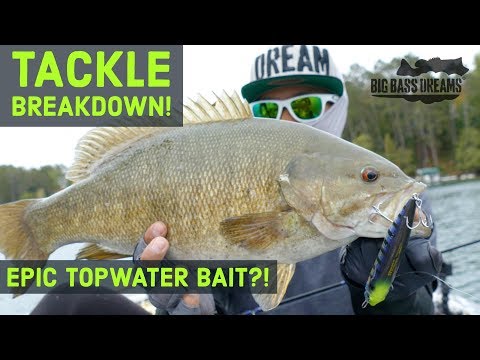 Watch Big Bass on Topwater Walking Baits - Tackle Breakdown Diamante Video  on