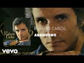 Roberto Carlos - Abandono (Áudio Oficial)