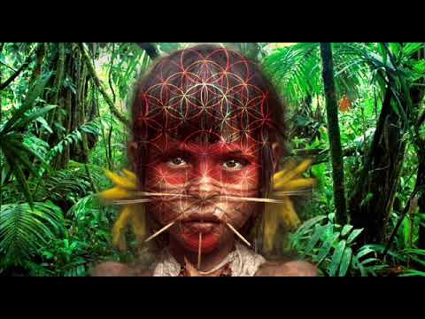 Weaving The Vine - Brilho Do Sol/Vivo Na Floresta