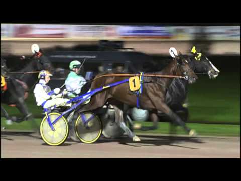 Victoria Park Wolvega 18-10-2015 KOERS 11 FOR SALE - J. VAN RIJN