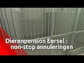 Dierenpension Eersel krijgt non-stop annuleringen