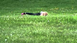 rolling down the hill