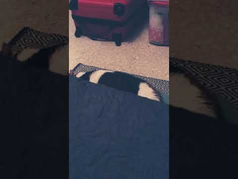 Conversations with Beena. Episode 1