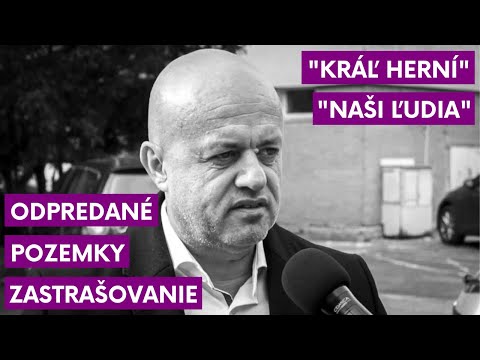 Oligarcha mesta Michalovce