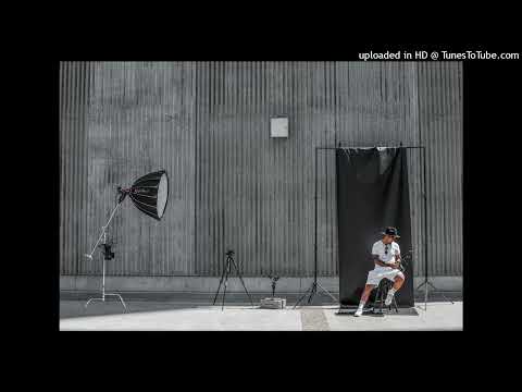 Les Stars du Compas Compacolor   Requin