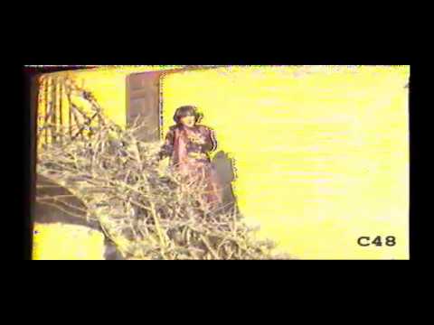 Qui Firenze liscio con ghiaccio - Antonietta Chelli in Mi sai dare - Canale 48 1976