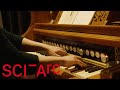 Sarah Davachi: Diegetic Dioramas at the Museum of Jurassic Technology