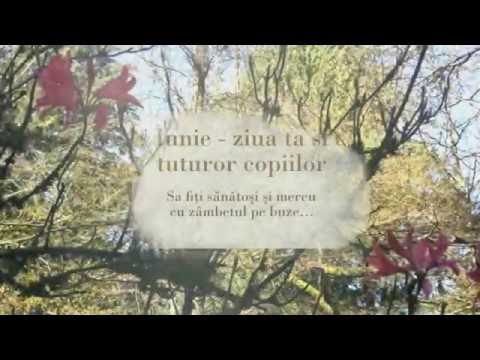 1 Iunie 2016   cum au sarbatorit copiii din Coroiesti 1080p