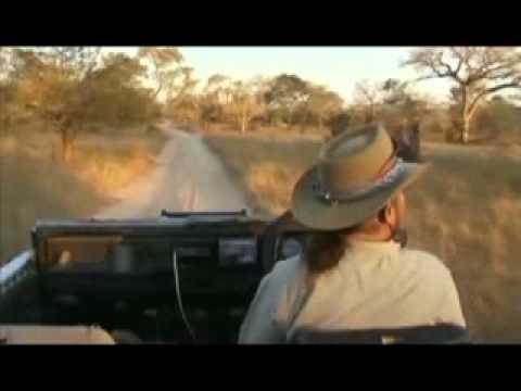 PM Djuma Safari Drive - Safari Female Leopard - Aug 19, 2011