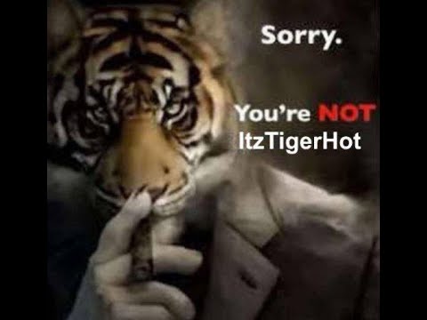 unnerfed slaughterhouse 100%