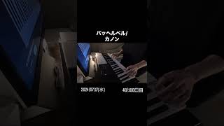 Download lagu 【100日後にストリートピアノで『オリビアを聴きながら/杏里』を弾く男】48日目 #ピアノ #カノン #パッヘルベル #ピアノ練習 #ピアノ練習中 #ピアノ練習記録 mp3