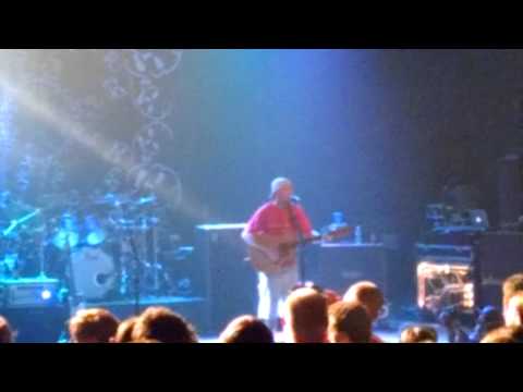 Slightly Stoopid Collie Man