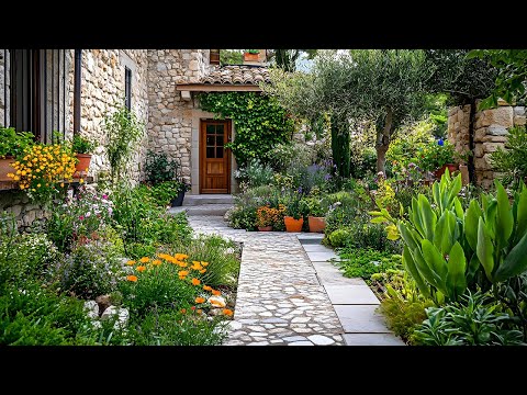 jardin-méditerranéen-plantes-grimpantes-lierre jardin méditerranéen