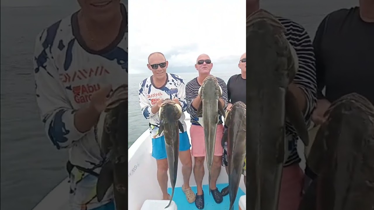 Hôtel Kasa Afrikana