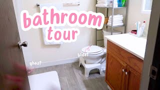 a tour of my humble little bathroom