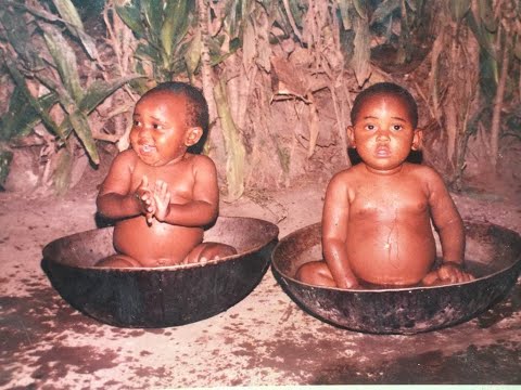 Zepacha Kingdom - Transformation 1991- 2020