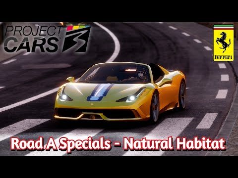 Project CARS 3 Career : Road A : Road A Specials - Natural Habitat
