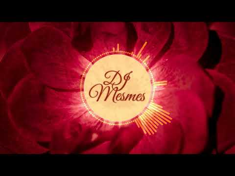 Chen Yue, Mark x DJ Mesmes – Flowers in a Riot of Color [Kizomba-Zouk Bootleg Remix] #70bpm