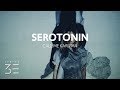 Call Me Karizma Serotonin