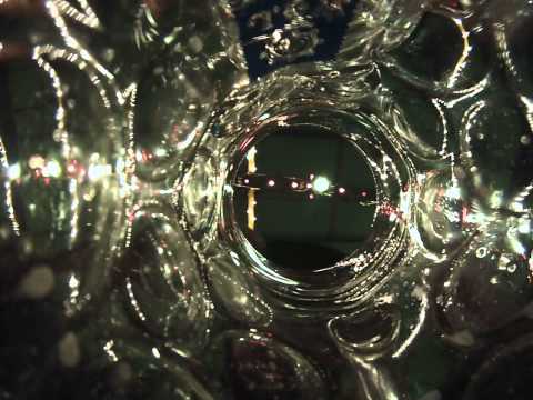 Oktoberfest - Augustiner tent