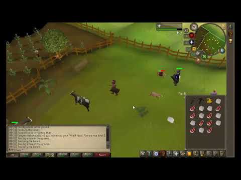 OSRS - Part 2 - Lets stream until i can afford a laptop that can play a real game