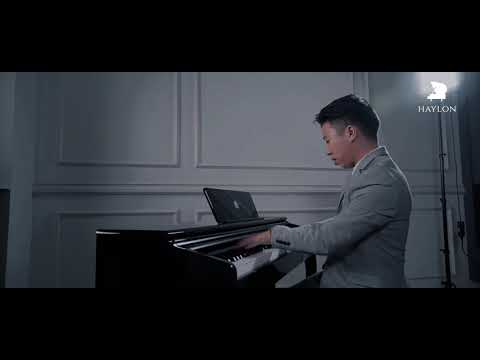 HAYLON H1 - Digital Piano Advertisement