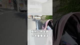 【フレブル】それ見えてないでしょ🤣 #vlog #frenchie #shorts  #お散歩 #代々木公園 　　　　　"You can't see that, can you?"