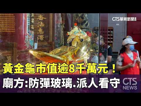 黃金龜市值逾8千萬元！　廟方：防彈玻璃.派人看守