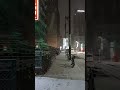 WINTER IN NAGOYA JAPAN Whitechristmas2022 Snow Snowfall Snowflakes Nagoya Japan Shorts