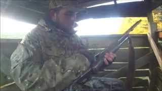 Out Foxing The Foxes