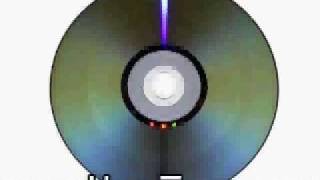 The Golden Palominos-Audio Vol. 5 CD-Heaven