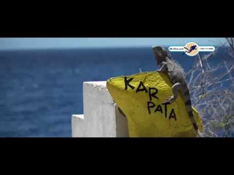 Dive site Karpata on Bonaire