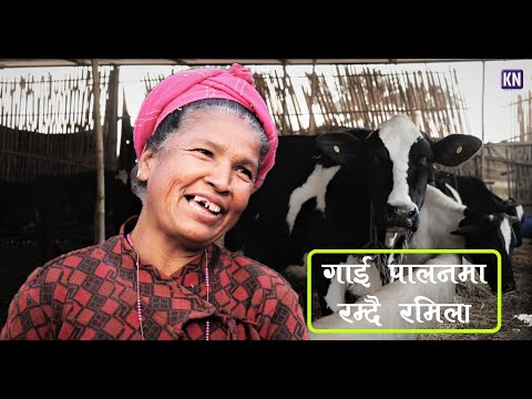 Palika Serofero - गाई पालनमा रम्दै रमिला : महिला सशक्तीकरण || BELBARI || Ep-9 || S-2