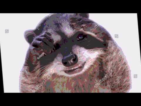 The Odd Chaps ft. Veela - True Colours