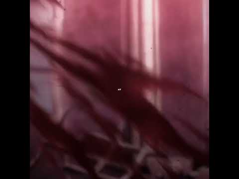 sad #louisdesade #louis #noearchiviste #noe #archiviste #vanitasnocarte #thecasestudyofvanitas