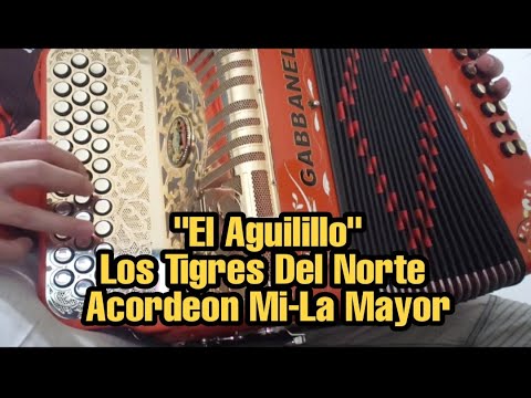 El Aguilillo - Los Tigres del norte