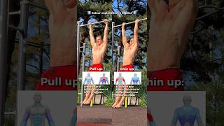 Pull up vs Chin up 💪 #calisthenics #bodyweighttraining #pullups #chinups #fitness #workout #fit