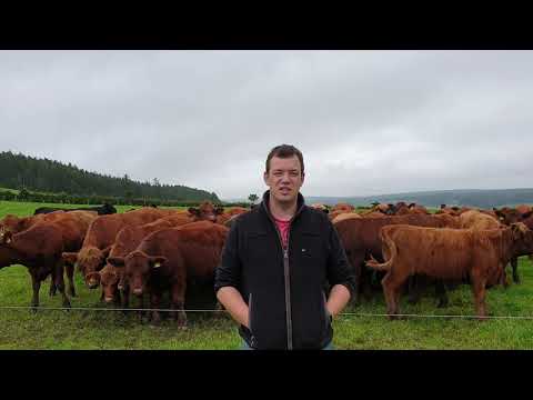 Show your Support for Meat with Integrity