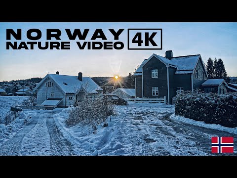 Norway 4K Cinematic Travel Video | Shot By Jyot Kalirao | Reel Life Studios | Norway Relaxation Film