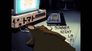 Summer Night lo-fi (lo fi hip hop mix)
