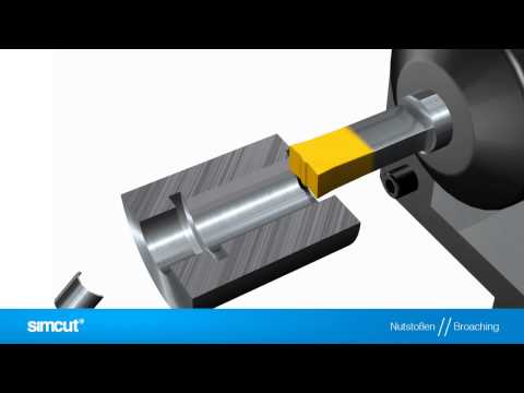 Alt text for the image