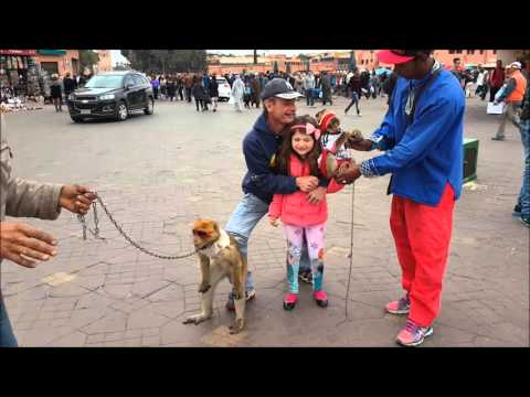 Vengeur et les singes Place Jemaa el Fna Madina Marmara Marrakech Avril 2016