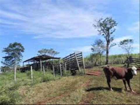 los bohemios de garupa lo nuevo vol.12 (mi reino encantado)