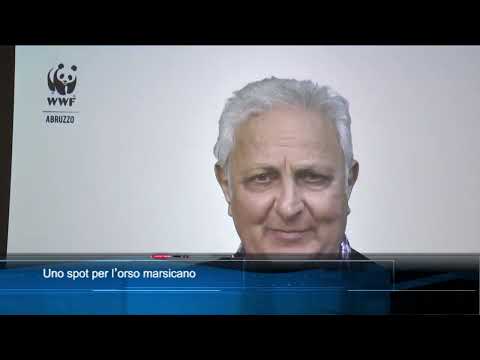 TgSei edizione delle 19 di mercoledì 9 marzo 2022