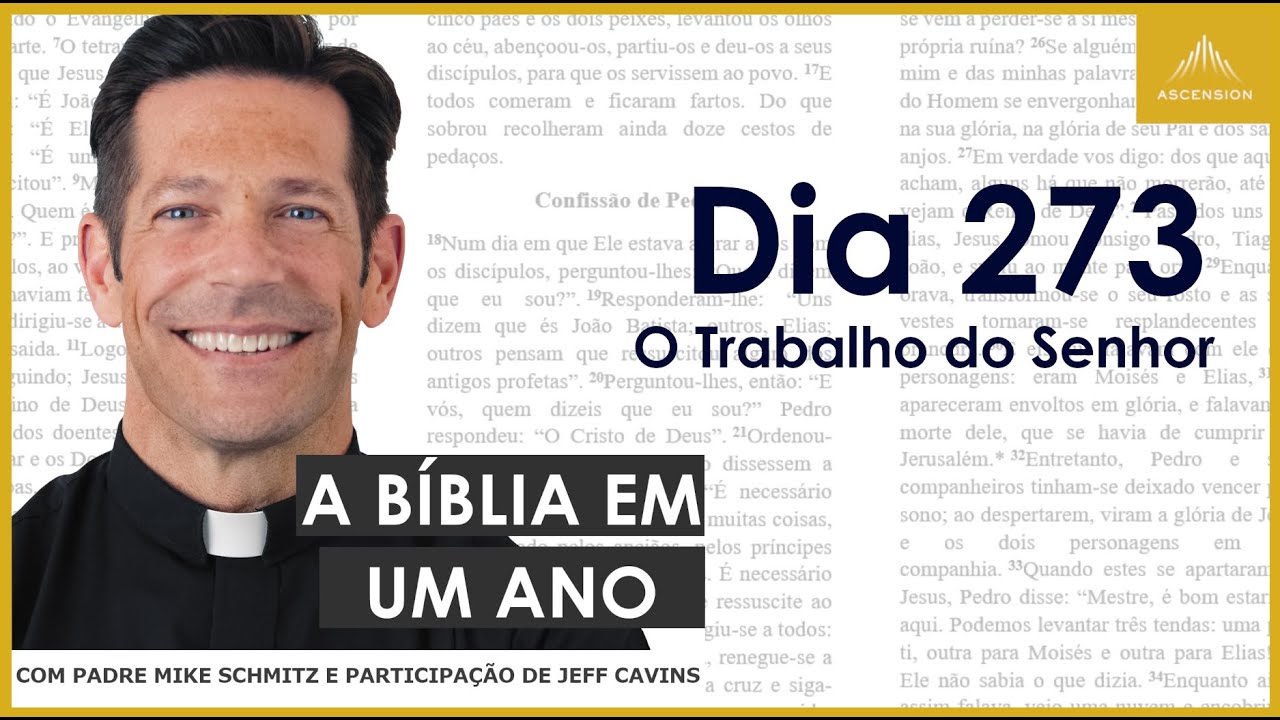 Dia 273: O Trabalho do Senhor - A Bíblia em um Ano (com Pe. Mike Schmitz)