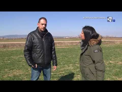 Fotograma del vídeo: La receta fitosanitaria, un ejemplo de uso