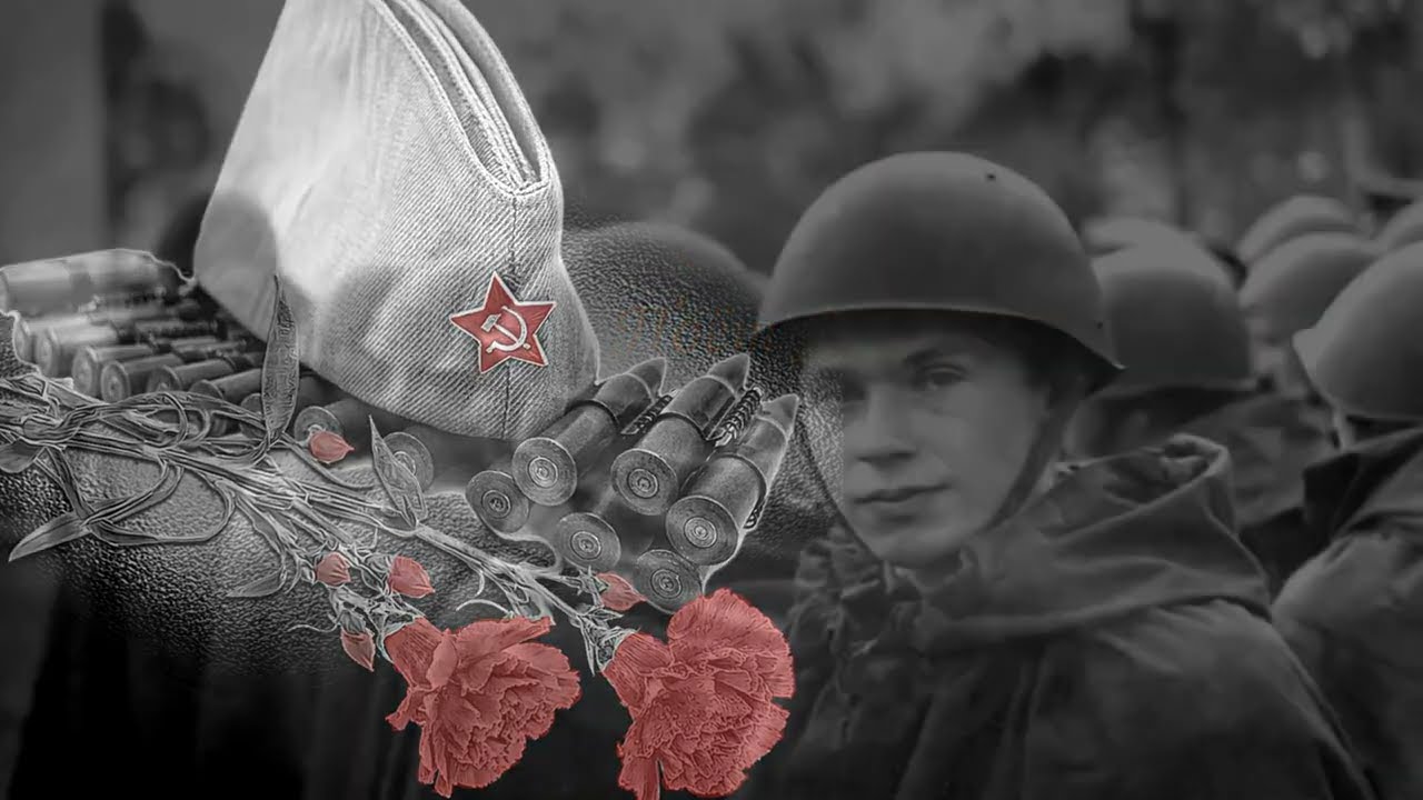 Нас не нужно жалеть