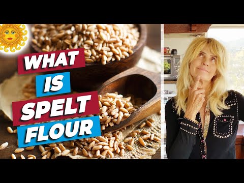 YouTube video about: Can dogs have spelt flour?