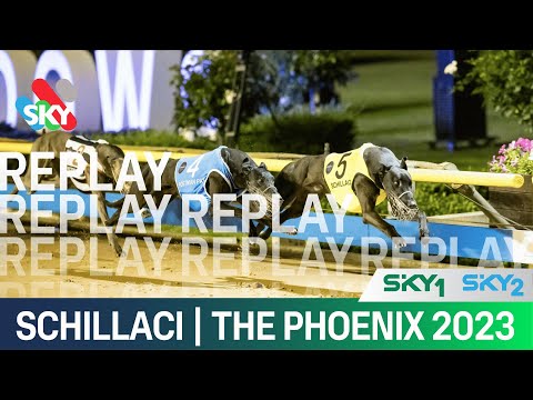Schillaci wins The Phoenix at The Meadows Greyhounds
