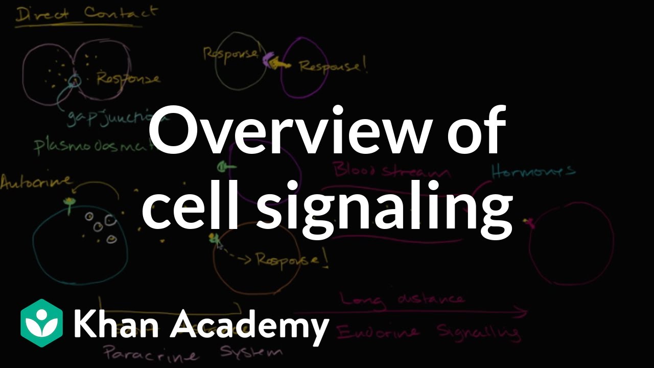 Overview of cell signaling